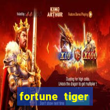 fortune tiger cassino pix